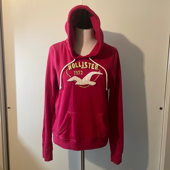 Hollister Hoodie - Picture 1 of 5